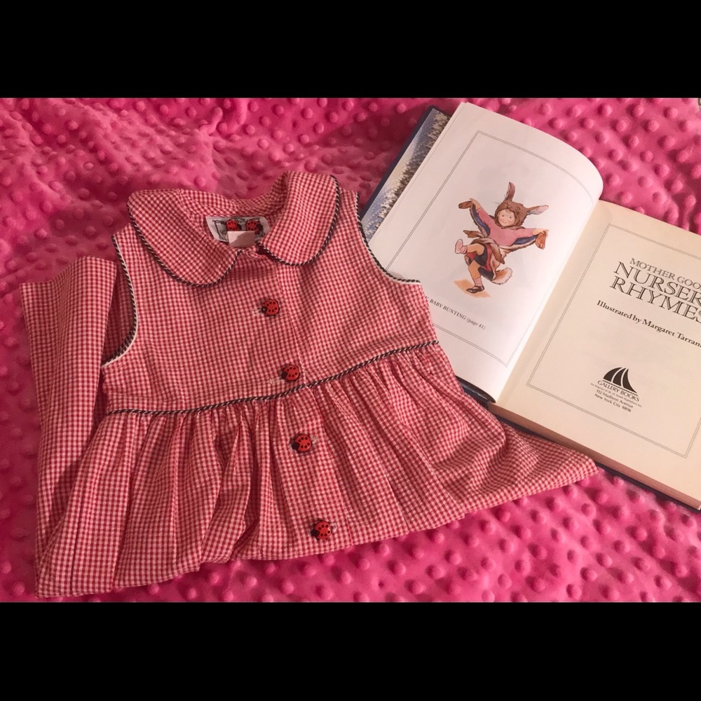 Classic Seersucker Ladybug dress
